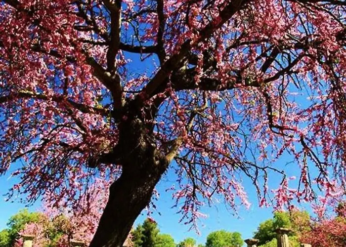 Olympia House Dionisos And Dimitra I Ferienhaus *